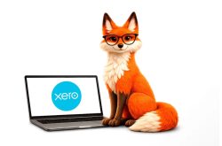 Fox Clever Bookkeeping